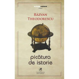 Picatura de Istorie. Razvan Theodorescu, cartea romaneasca