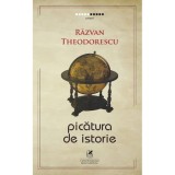 Picatura de Istorie. Razvan Theodorescu