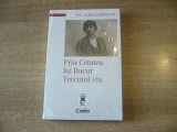 Pia Alimanestianu - Prin Cetatea lui Bucur. Trecutul viu