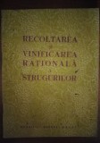 Recoltarea și vinificarea rationala a strugurilor