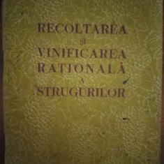 Recoltarea și vinificarea rationala a strugurilor