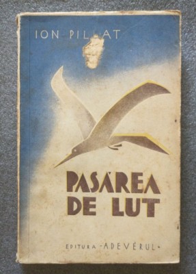 Ion Pillat - Pasărea de lut foto