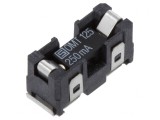 Siguranţă &icirc;nt&acirc;rziere 250mA 125V SMD, SCHURTER