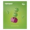 Set constructie Plus-Plus, PLANTE - Topiary
