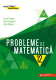 Probleme de matematică pentru clasa a XII-a, Editura Paralela 45