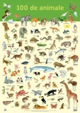 Plansa 100 de animale, DPH