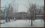 Carte postala, Buzias, Izvorul Iosif, 1924