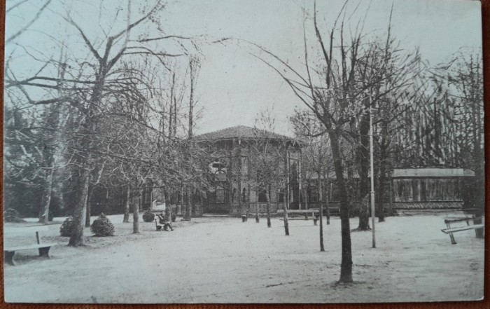 Carte postala, Buzias, Izvorul Iosif, 1924