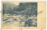 3704 - PETROSANI, Valea Jiului, Gorj, Pasul Surduk, Litho, Romania - old postcard - unused - 1902