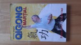 Narciz Tasca - Qigong martial ( arte martiale , autoaparare )