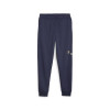 Pantaloni barbati Puma Ess Logo Lab Sweatpant 67592606