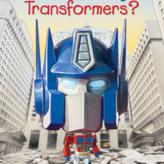 What Is the Story of Transformers?