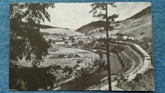 495 - Peisaj in Bucovina /carte postala necirculata interbelica