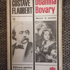 Gustave Flaubert - Doamna Bovary