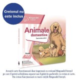 Raspundel Istetel, carte Animale domestice