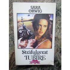 Sara Orwig - Strafulgerat de iubire