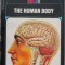 The Human Body - Paul Lewis, David Rubenstein