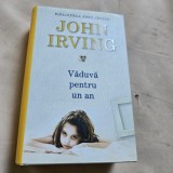 VADUVA PENTRU UN AN - JOHN IRVING
