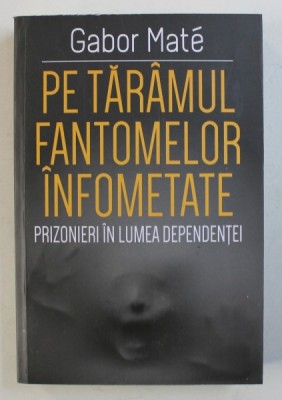 PE TARAMUL FANTOMELOR INFOMETATE - PRIZONIERI IN LUMEA DEPENDENTEI de GABOR MATE , 2018 foto