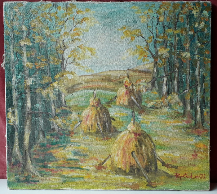 Peisaj rustic - pictura in ulei pe panza
