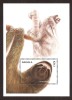 Angola 2000 - Fauna, animale, colita neuzata