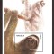 Angola 2000 - Fauna, animale, colita neuzata
