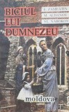 Biciul lui Dumnezeu - 1993 - Mark Aldanov (P8)