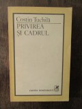 PRIVIREA SI CADRUL-COSTIN TUCHILA