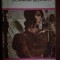 Doamna Bovary