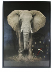 TABLOU CU CEAS INRAMAT 70X100 CM ELEFANT foto