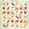 Indonezia 2003 fauna insecte si flori MI 2279-2290 MNH xxl