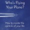 Who&#039;s Flying Your Plane?: How to master the controls of your life
