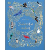 Fantasztikus madarak - (K&uuml;l&ouml;nleges kiad&aacute;s) - Hoare