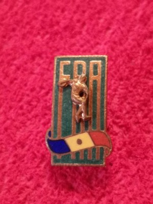 Insigna sport - FEDERATIA de ATLETISM din ROMANIA foto