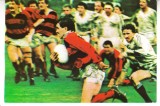 QW28 - Tematica sport - rugby