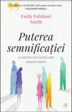 Cumpara ieftin Puterea semnificatiei. Cladeste-ti o viata care merita traita/Emily Esfahani Smith