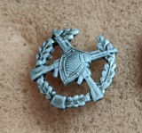 S S2 - Tematica militara - semne de arma - straine - piesa de colectie