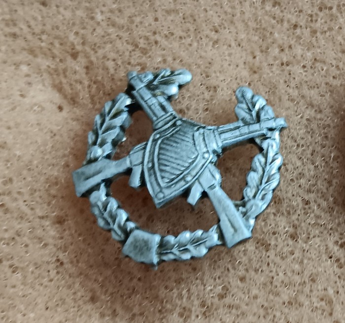 S S2 - Tematica militara - semne de arma - straine - piesa de colectie
