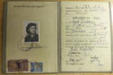 M3 C18 - 1953 - Diploma absolvire - Scoala medie tehnica de comert