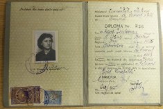 QW13 1 4 - 1953 - Diploma absolvire - Scoala medie tehnica de comert