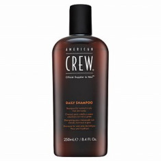 American Crew Classic Daily Shampoo ?ampon pentru folosirea zilnica 250 ml foto