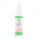 Odorizant auto Paloma Car Deo Hawaii Surf - 65 ml