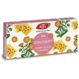 GINOSEPT CREMA SOLIDA G86 6MDZ