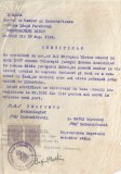 Romania, Biroul Cazier de pe langa Parchetul Trib. Sibiu, Certificat, cop., 1944