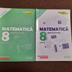 MATEMATICA ALGEBRA GEOMETRIE CLASA A VIII A PARTEA 1 SI 2 ANTON NEGRILA