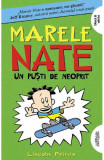 Cumpara ieftin Marele Nate. 3. Un Pusti De Neoprit, Lincoln Peirce - Editura Art