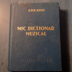 Mic dictionar muzical A. Doljanski