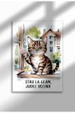 Poster p&acirc;nză ne&icirc;nrămat cu citat de pisică &icirc;n limba rom&acirc;nă - Imprimeu digital - Judec&acirc;nd vecinii | A3 (29.7 x 42 cm)