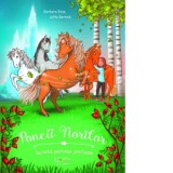 Poneii norilor. Secretul pietrelor pretioase - Barbara Rose, Jutta Berend