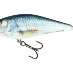 Salmo Wobler Executor Shallow Runner 12cm Real Dace